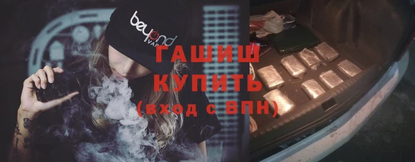 прущий лед Алзамай
