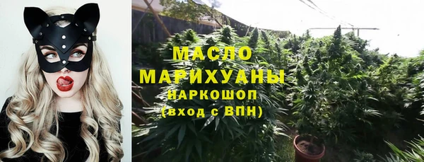 прущий лед Алзамай