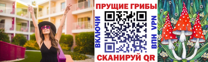 наркота Александровское Псилоцибиновые грибы Cubensis